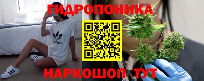 спиды Малгобек