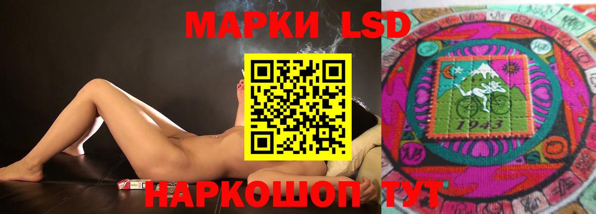 Галлюциногенные грибы Дербент