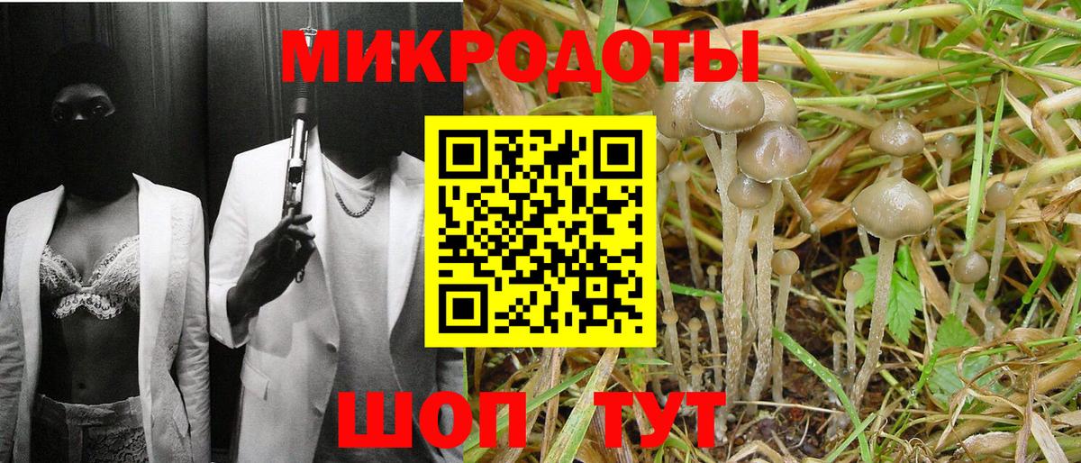 Псилоцибиновые грибы мицелий Дербент