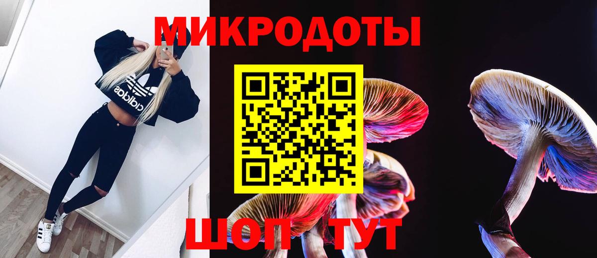Псилоцибиновые грибы Cubensis  Вход с VPN  Галлюциногенные грибы ЛСД  Дербент 